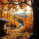 Maple Syrup Harvesting Process