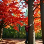 Where Does Maple Syrup Come From