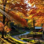 michigan maple syrup
